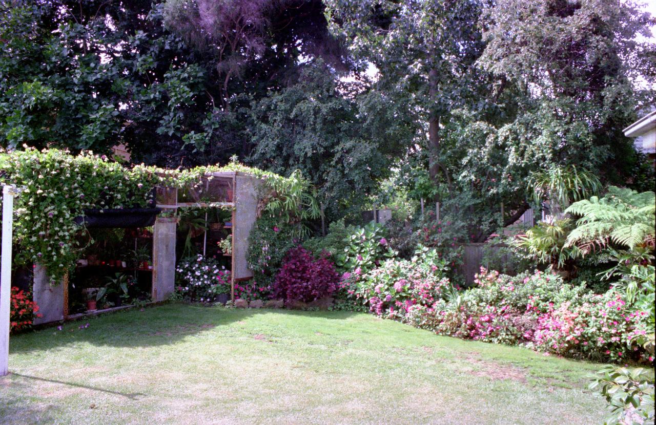 Colorful garden with red blooms and green leaves abounding