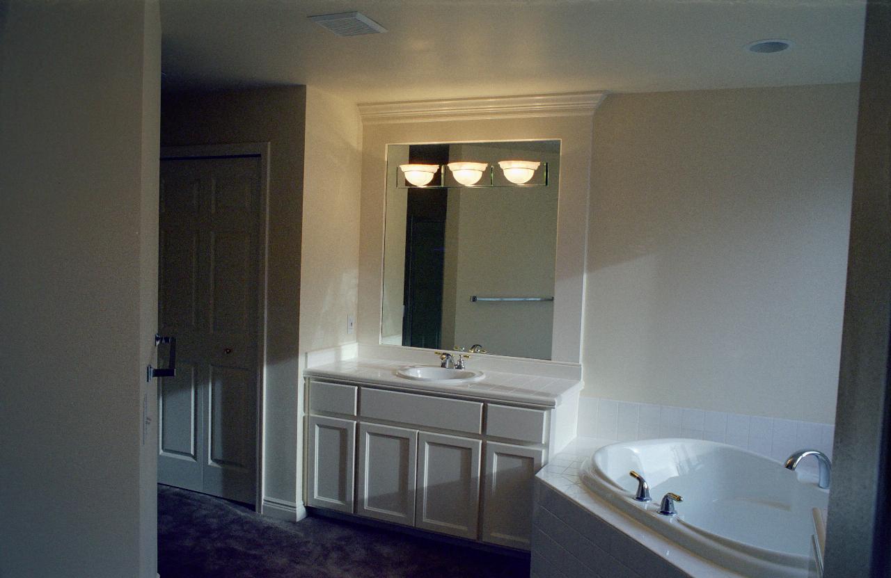 Tub and vanity basin