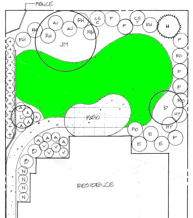 Backyard Layout