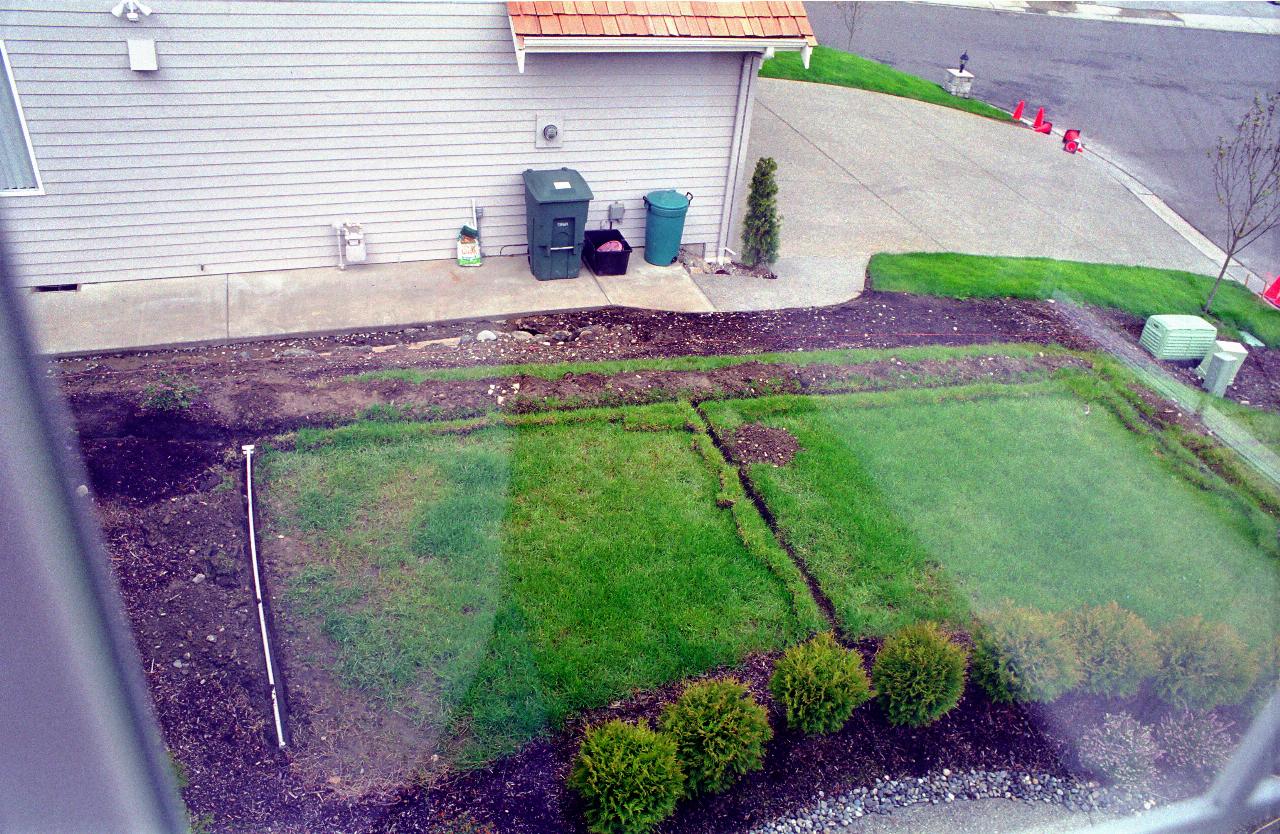 Lawn near front of house