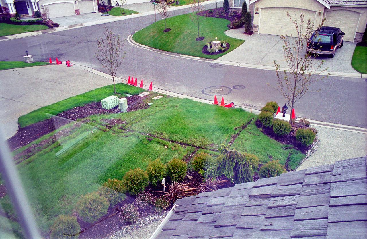 Front lawn near street