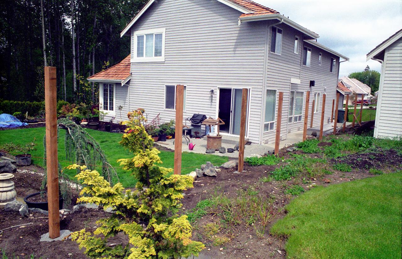  Fence posts, looking NW into Phan's yard