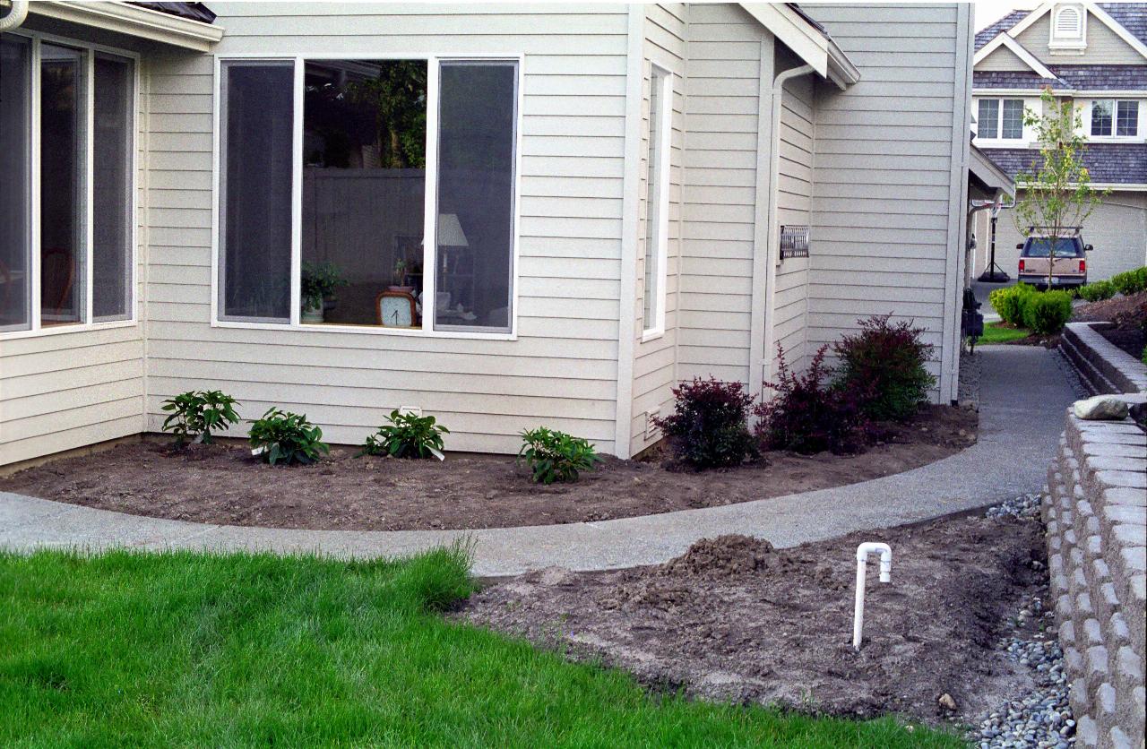 South east corner of house and new plantings