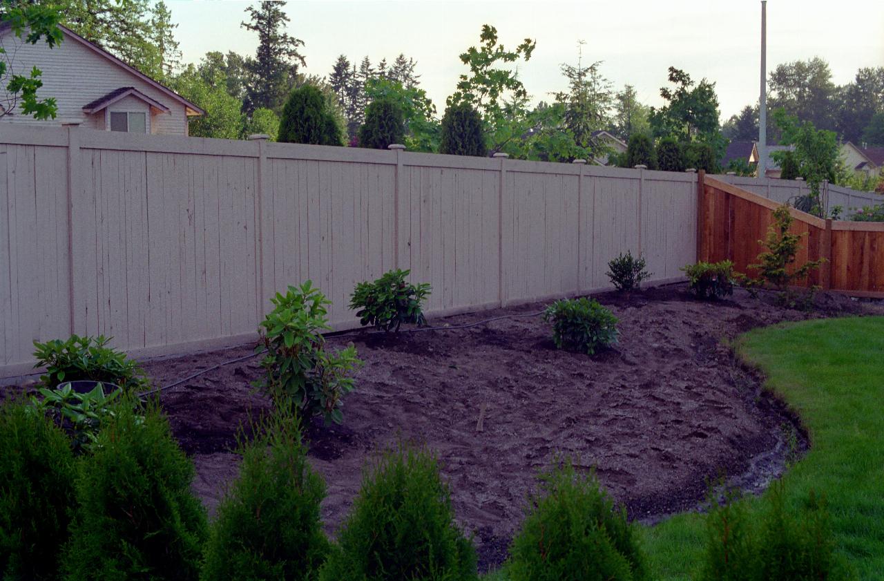 Garden along back fence from eastern side