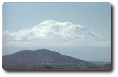 View of Mt. Sashta, June 99