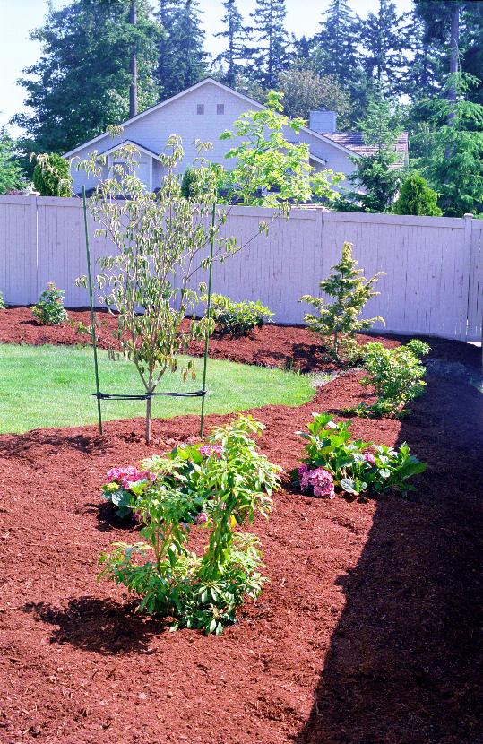 West side garden with bark