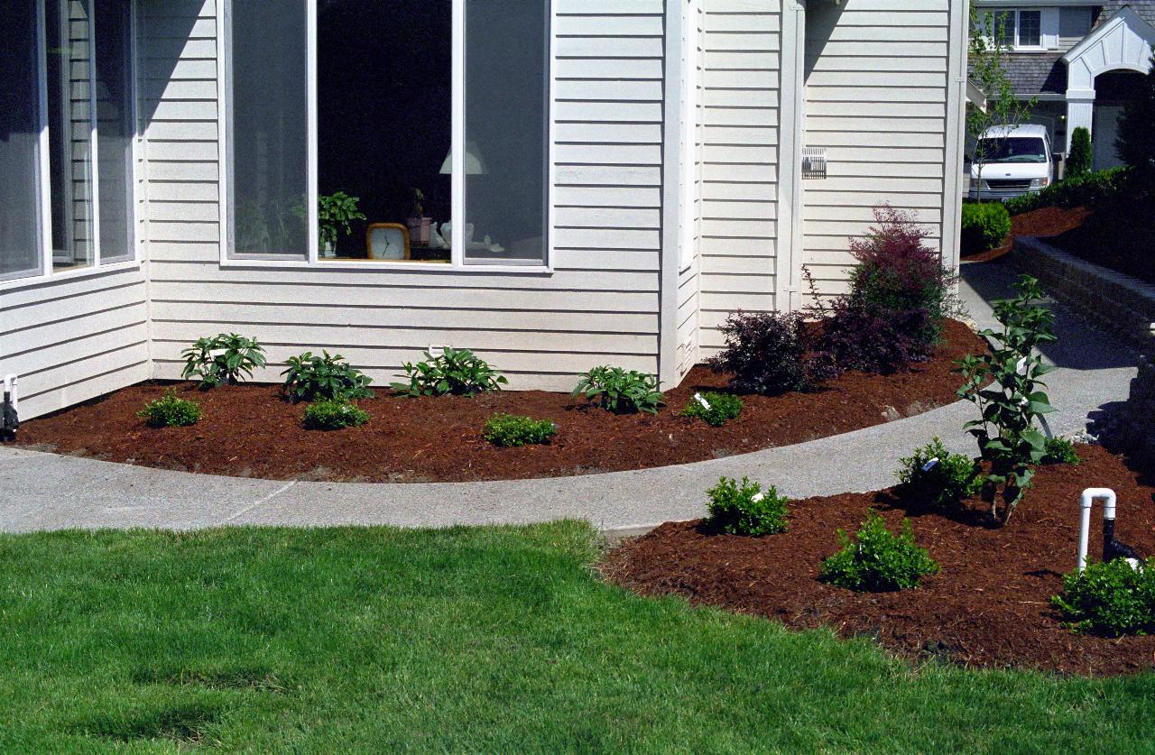 Garden near family room with bark