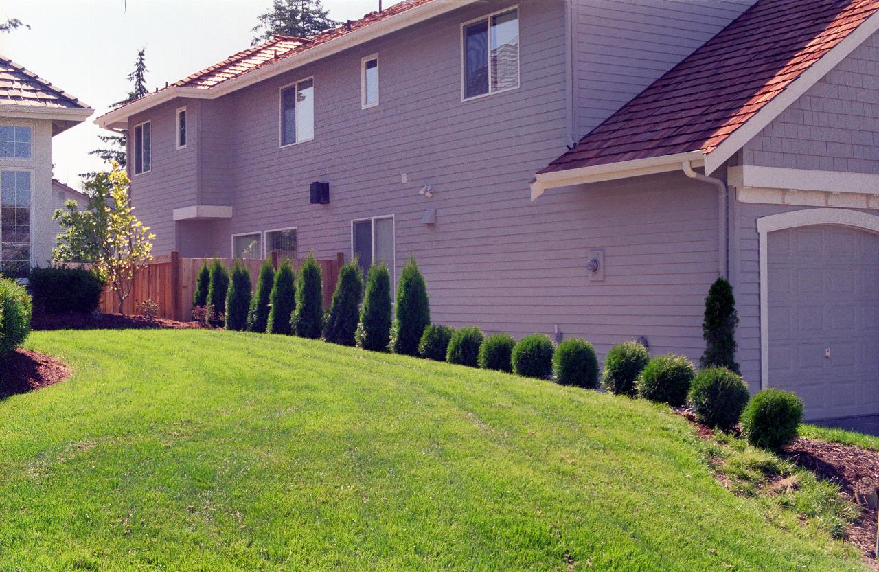 Front Living Fence