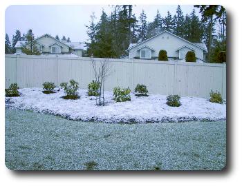 Back garden snow