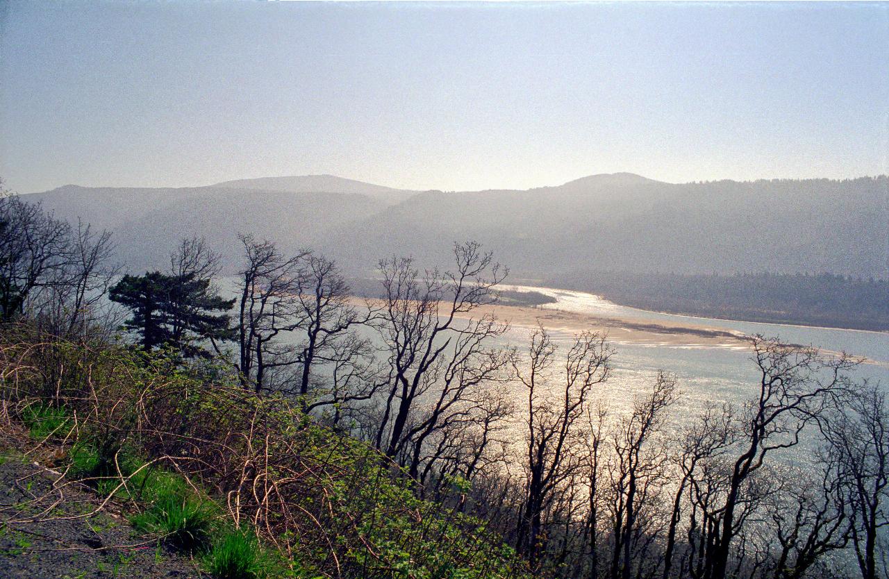 Broad river with sand bank, viewed through trees from a high vantage point