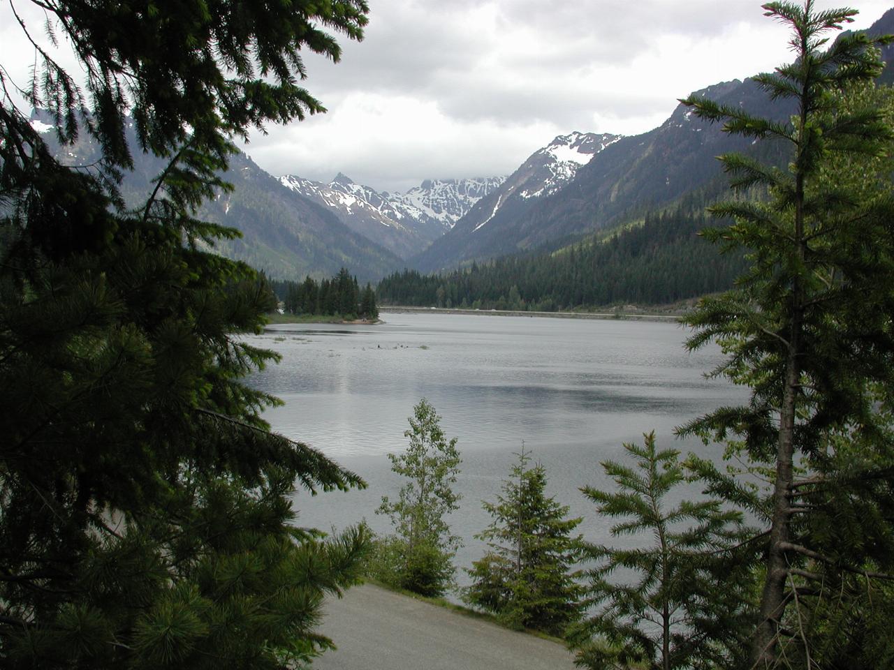 Lake and snow capped peaks framed by evergreen trees