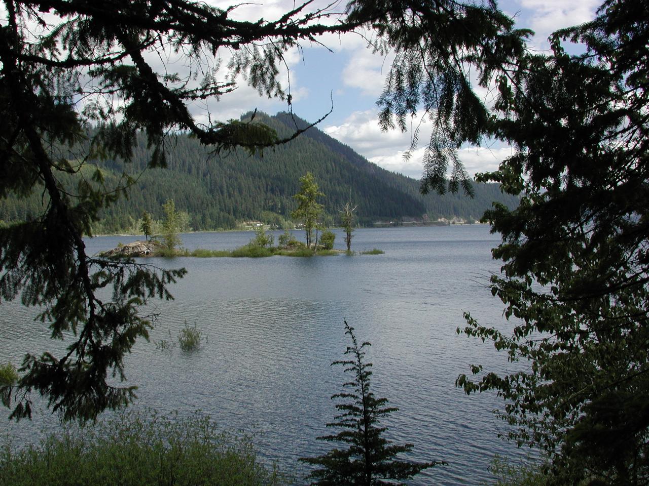 Lake with trees growing in a patch; scene framed by evergreens