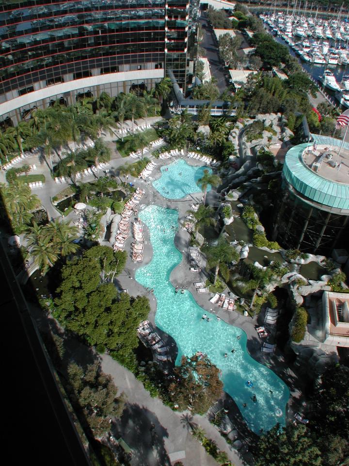 Kidney shaped swimming pool amidst vegetation