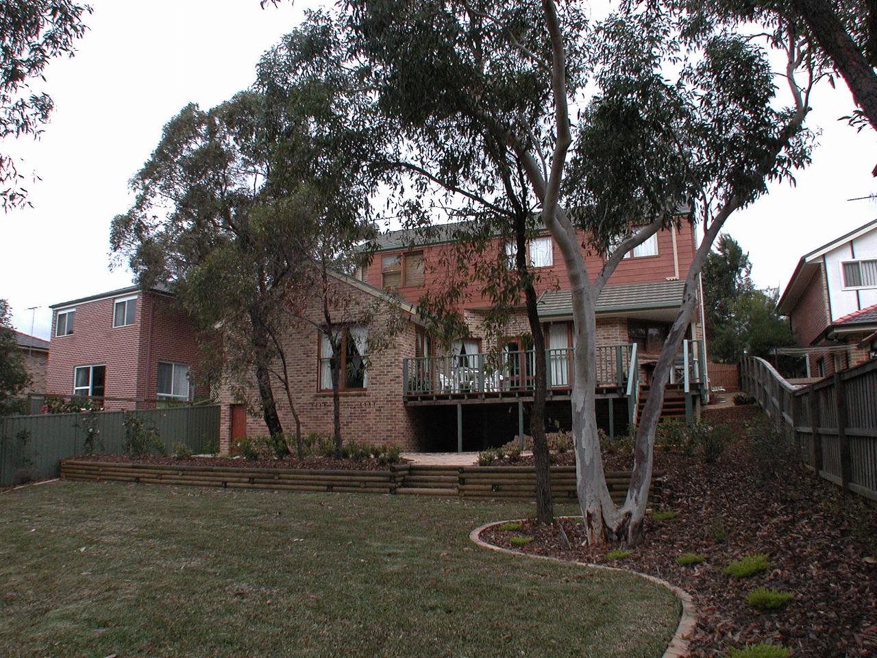 Rear of two storey house behind eucalyptus trees