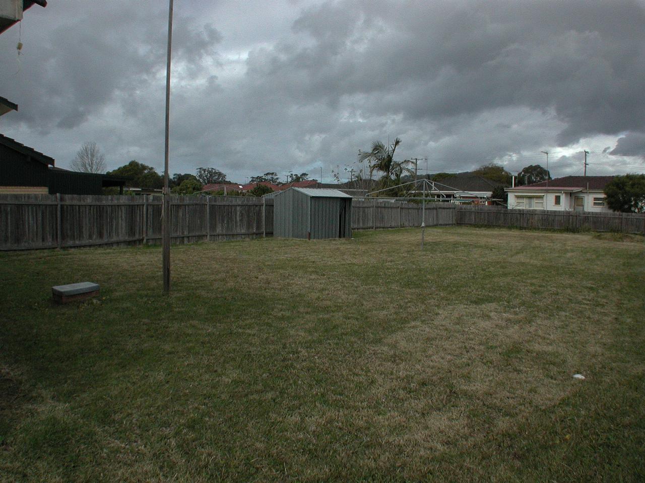 Large grassy yard, paling fenct and metal garden shed and rotary clothes line