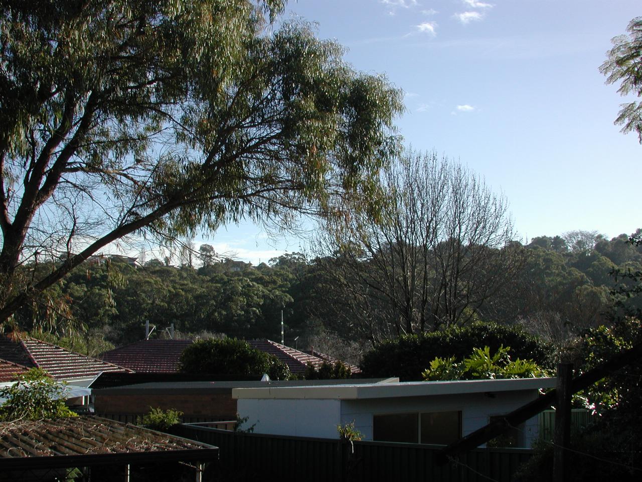 Distant tree covered hill and rooftops of nearby homes