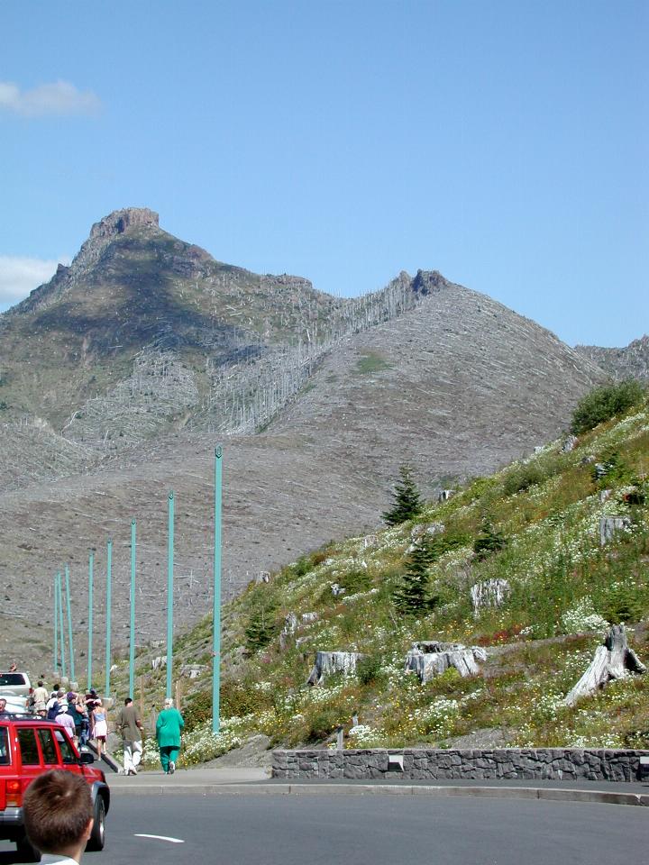 Mountain peak with bare tree trunks standing on one side, and flattened around the corner