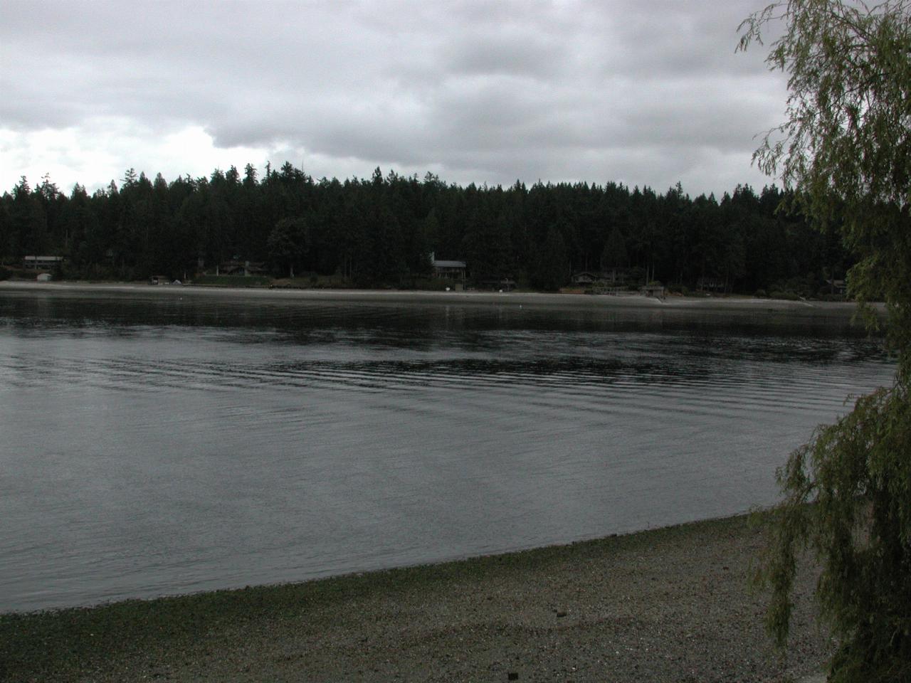 Low Tide, looking SE