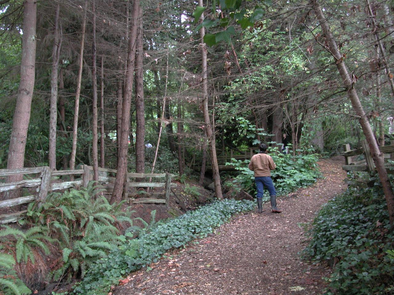 Walking Trail