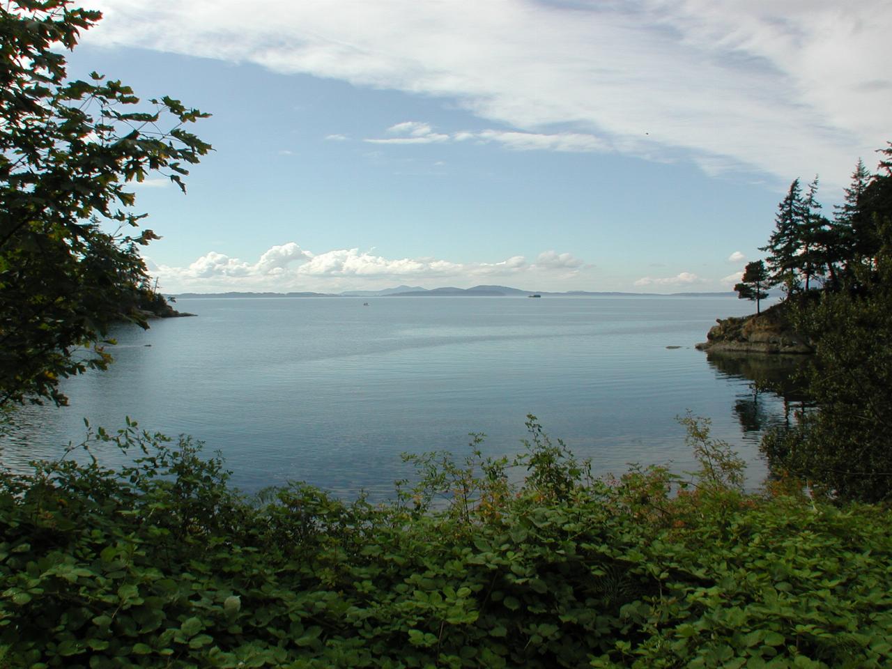 Quiet tree lined bay looking across water to distant mountains