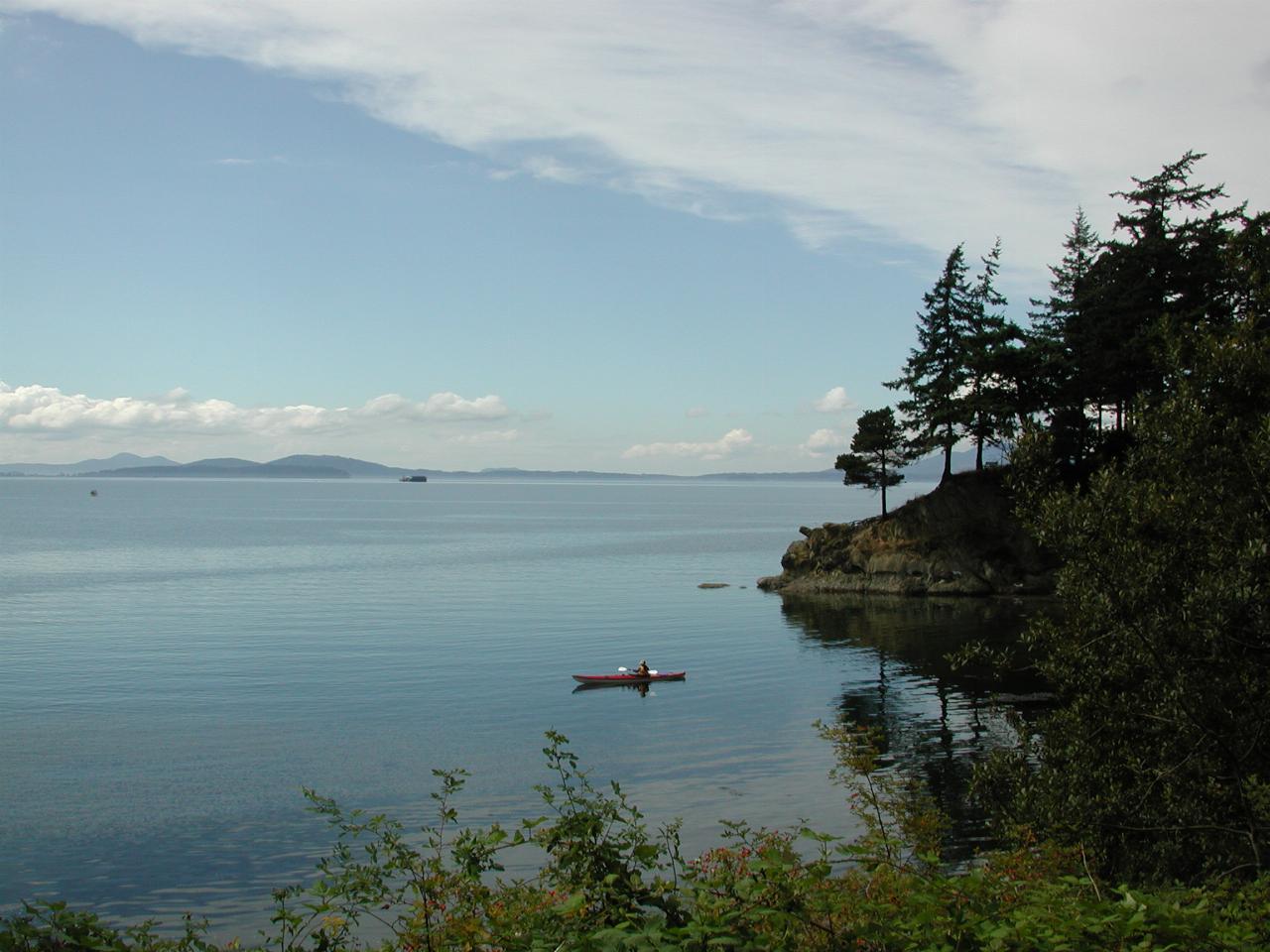 Kayak waiting in calm waters on tree lined inlet from above