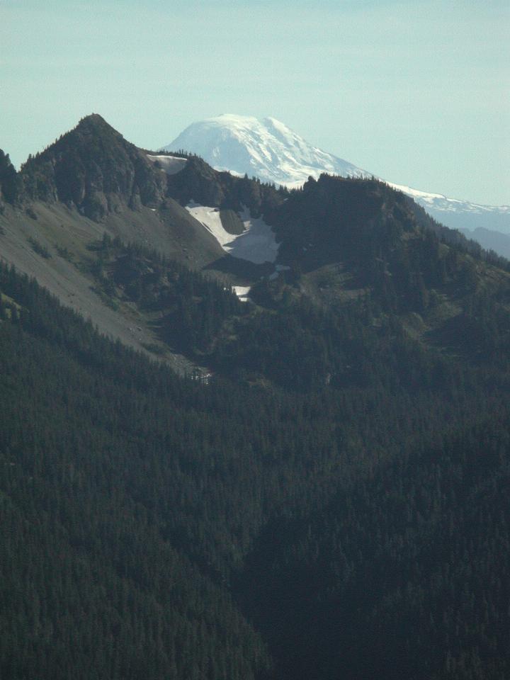 Mt. Adams, from Sunrise Point