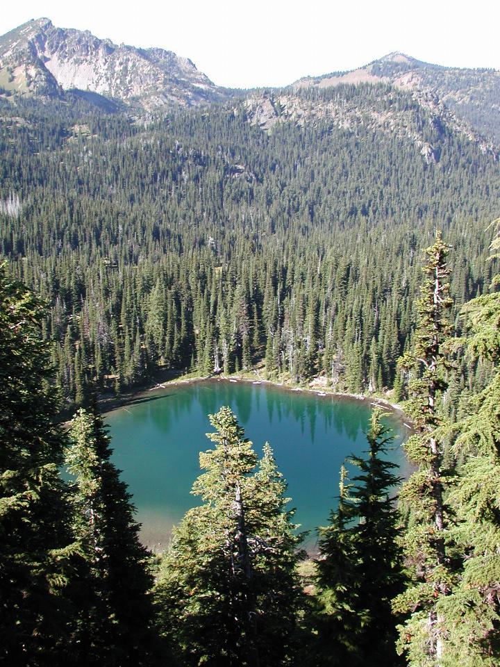 Sunrise Point, Mt. Rainier National Park