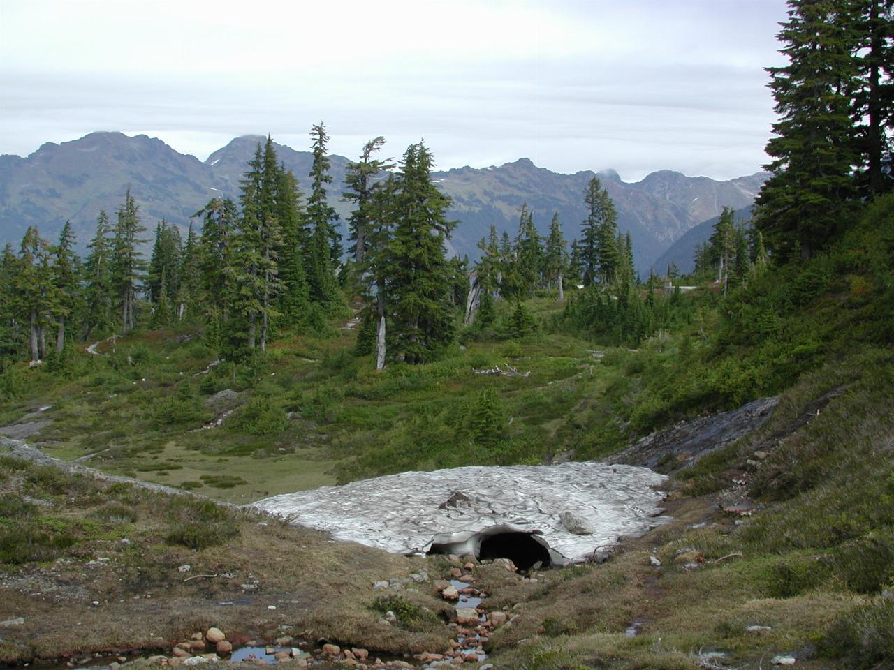 Mt. Baker, Austin Pass