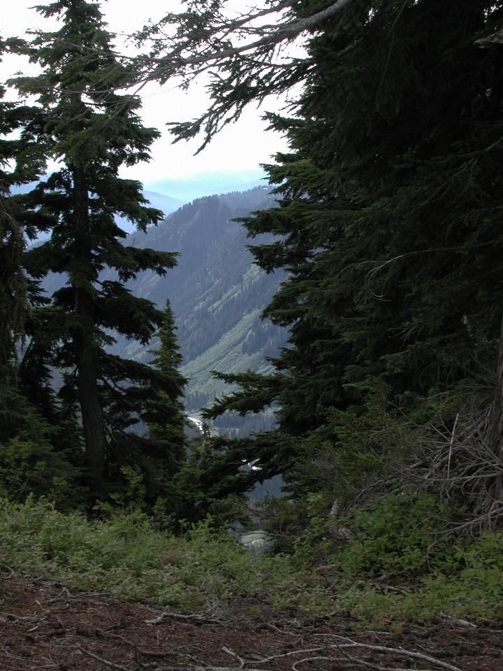 Mt. Baker, Artist Point, looking down Swift River valley