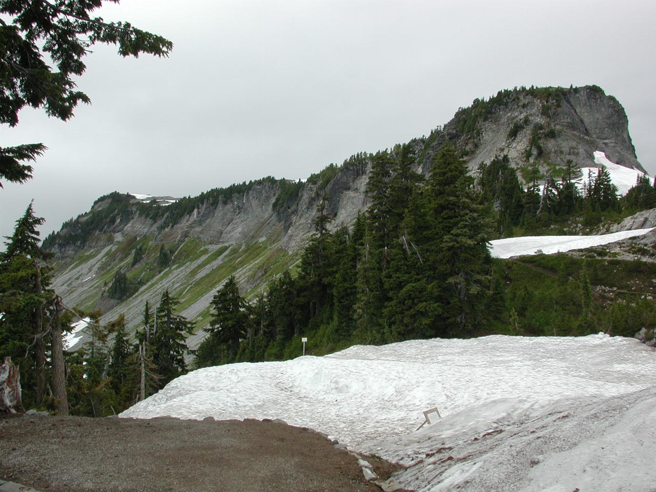 Mt. Baker, area around Artist Point