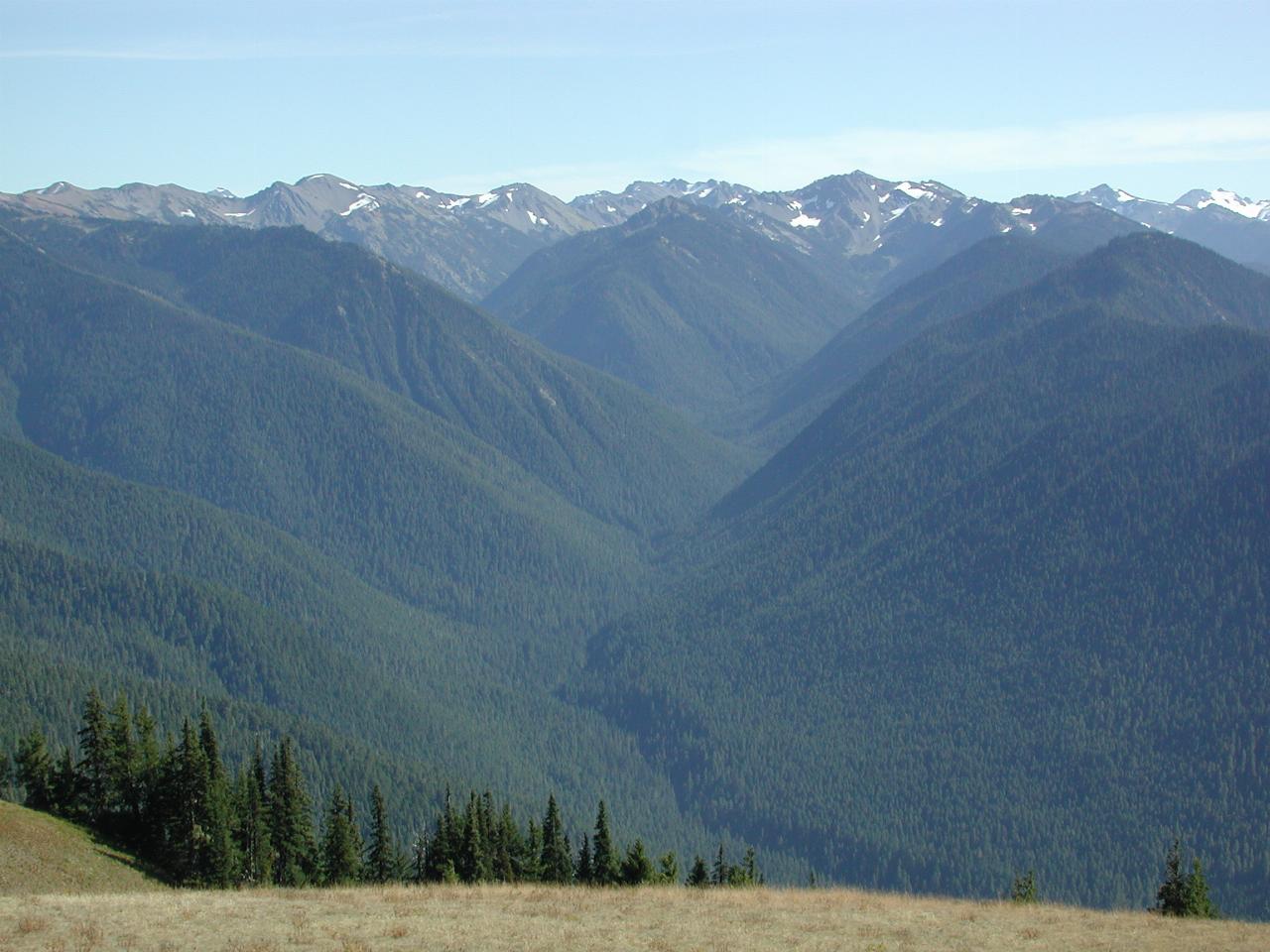 Looking South from the Visitor Centre at Hurricane Ridge, Olympic National Park