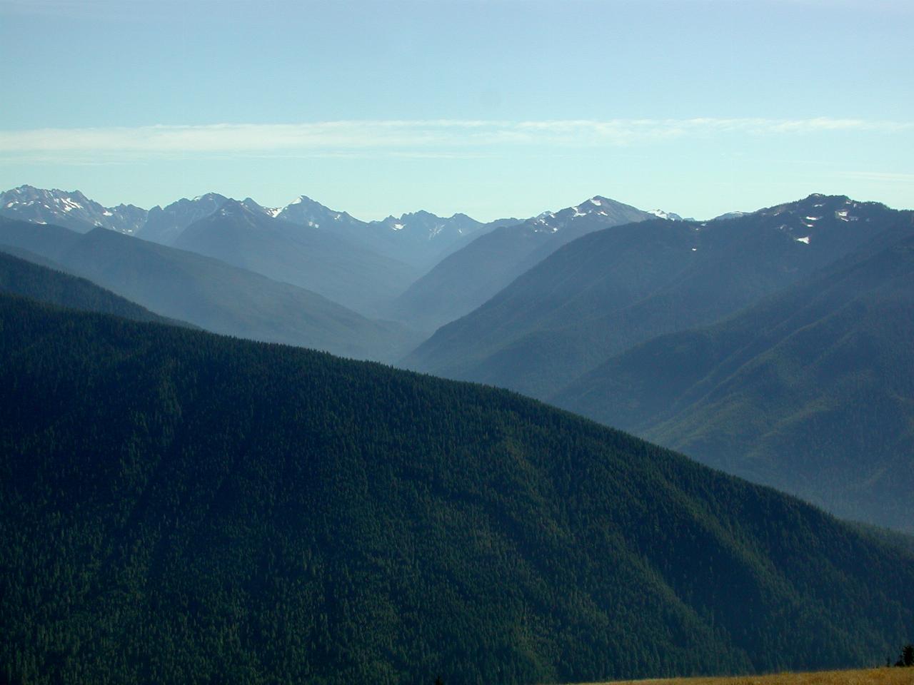 Looking South from the Visitor Centre at Hurricane Ridge, Olympic National Park