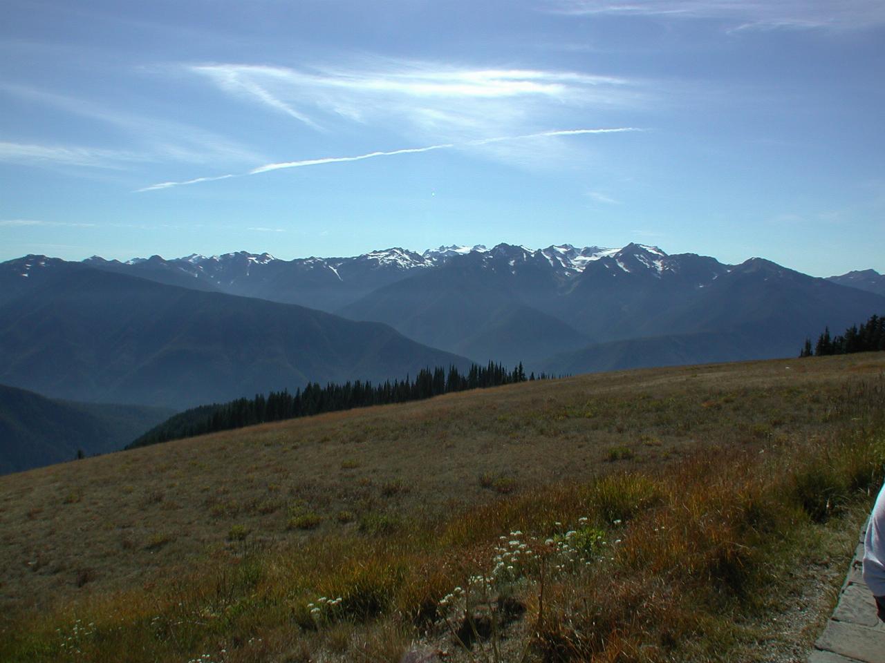 Looking South from the Visitor Centre at Hurricane Ridge, Olympic National Park