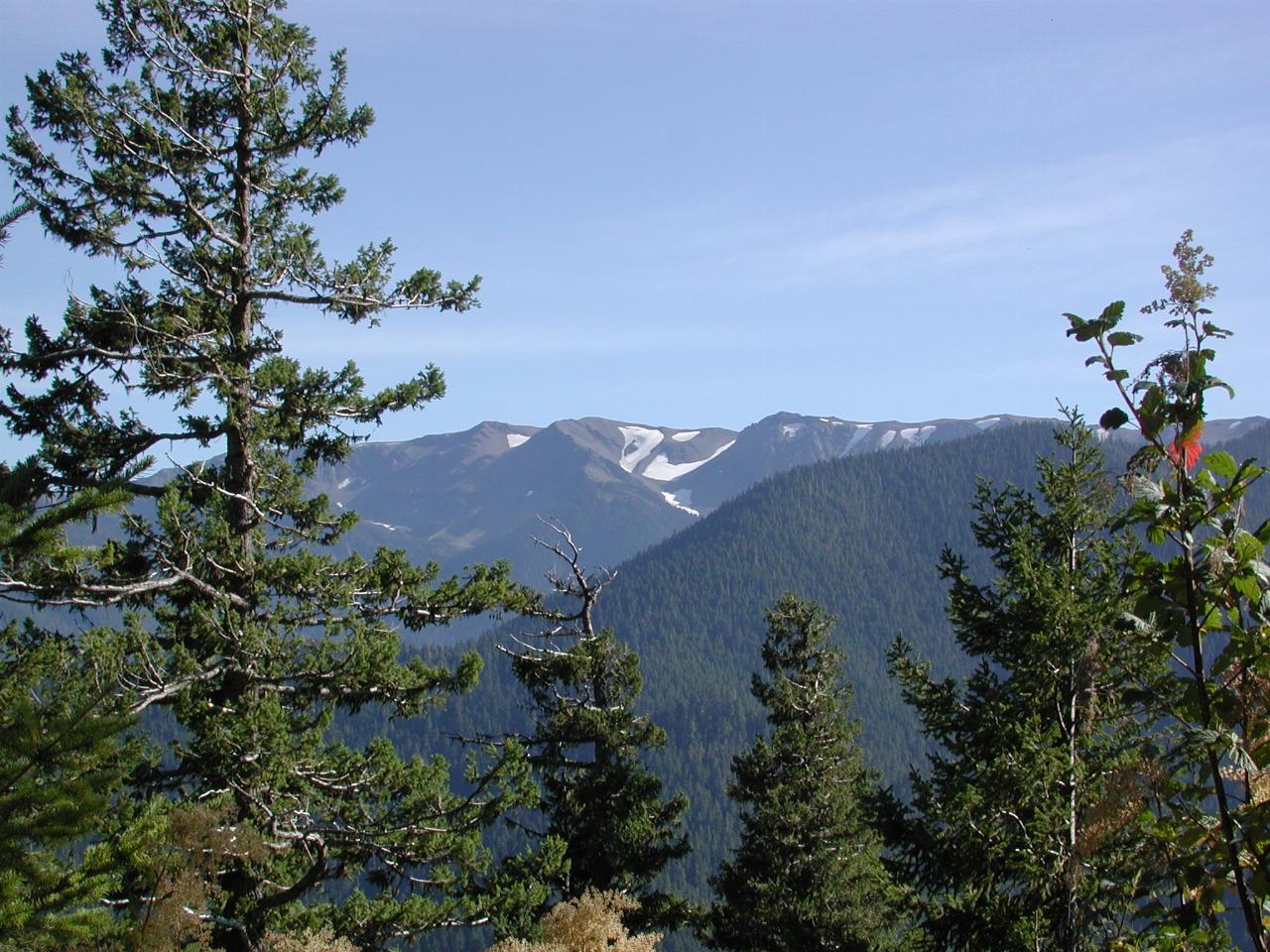 Road down from Hurricane Ridge.