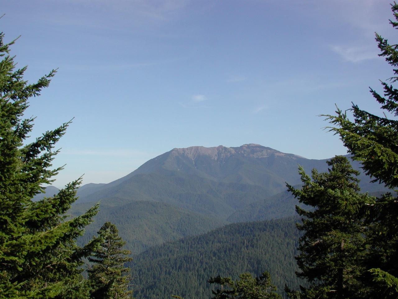 Road down from Hurricane Ridge, showing Green Mountain.