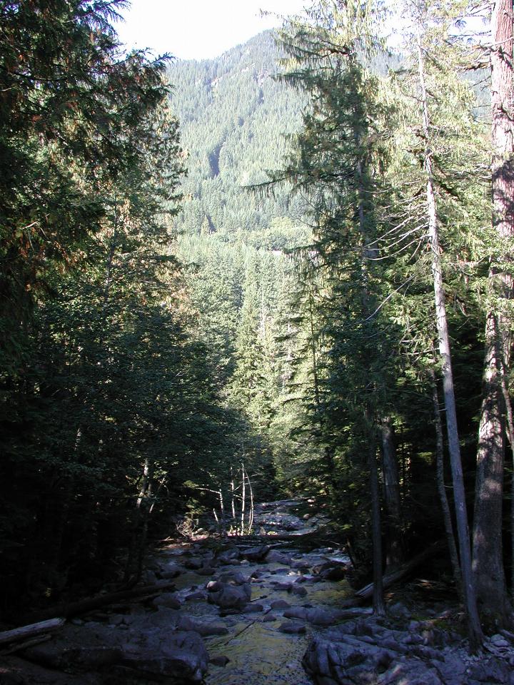 Deception Falls area, US 2 west of Stevens Pass