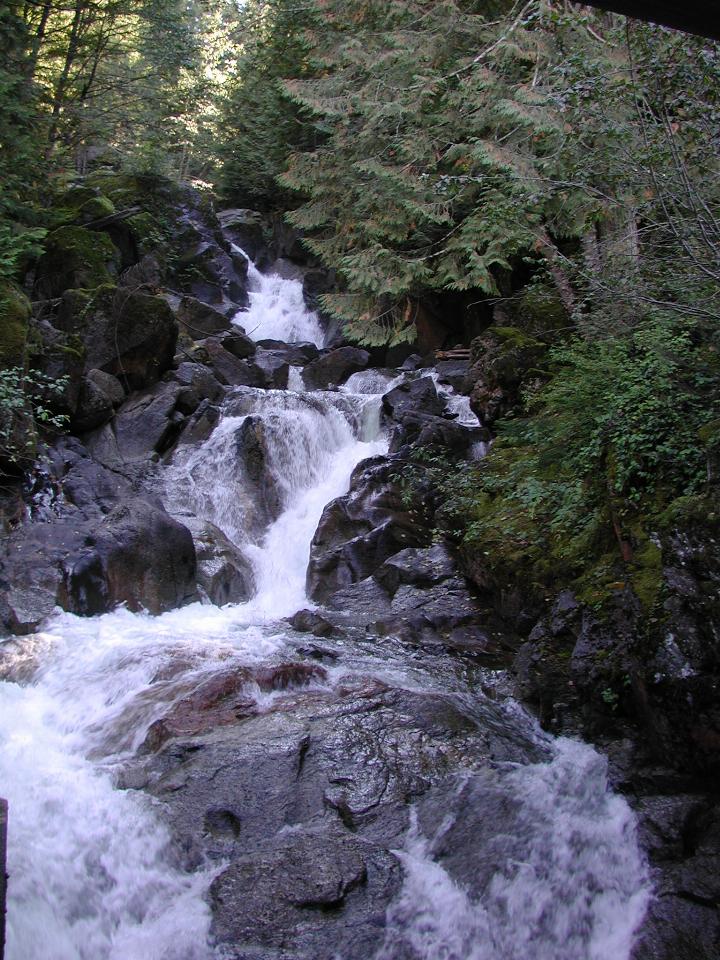 Deception Falls area, US 2 west of Stevens Pass