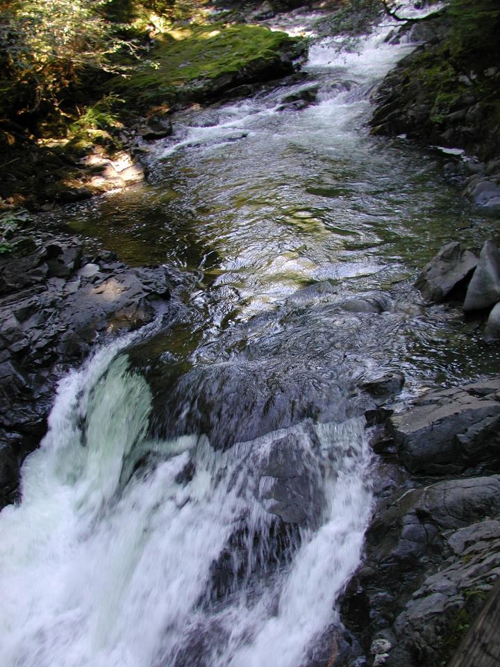 Deception Falls area, US 2 west of Stevens Pass