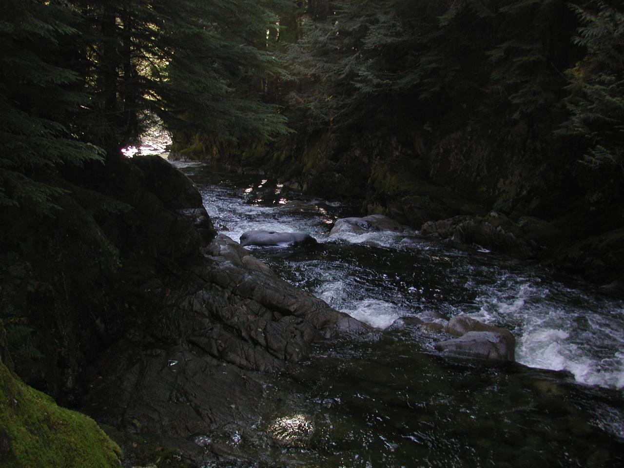 Deception Falls area, US 2 west of Stevens Pass