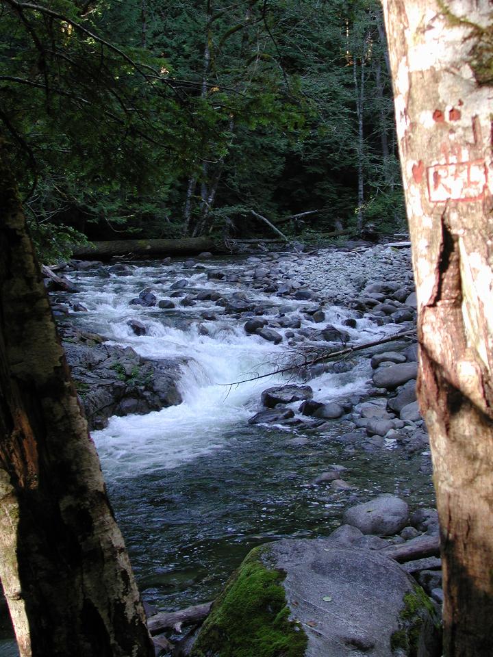 Deception Falls area, US 2 west of Stevens Pass