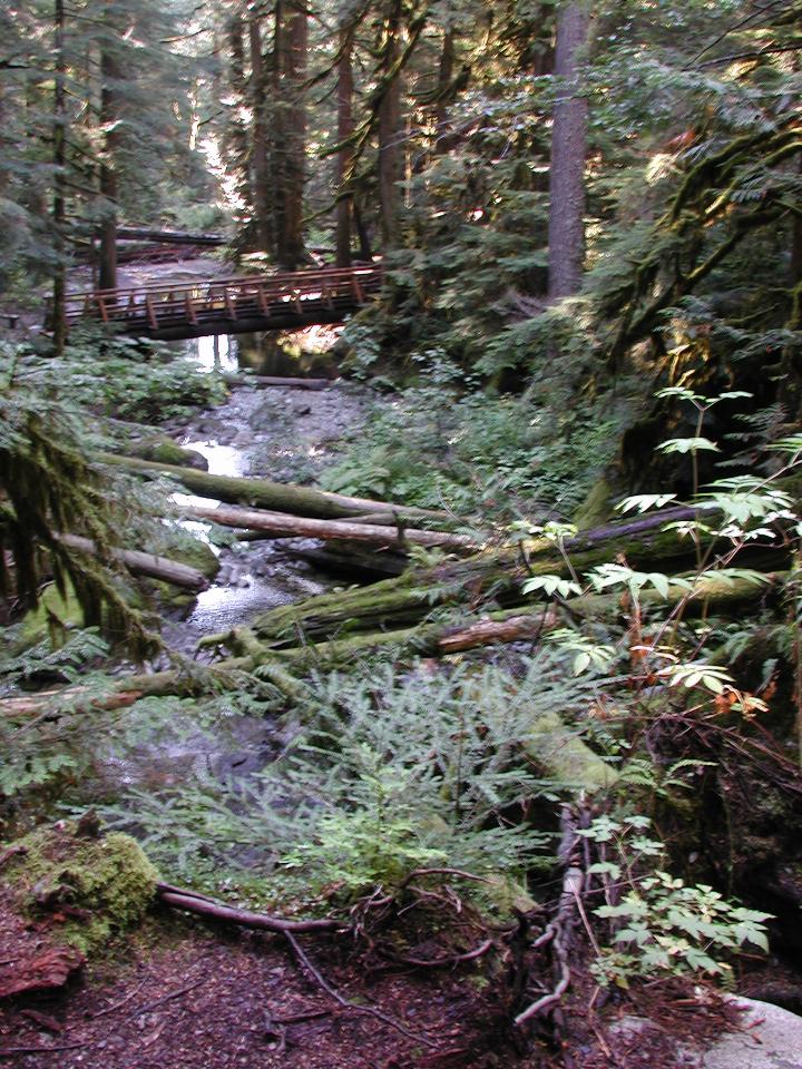 Deception Falls area, US 2 west of Stevens Pass