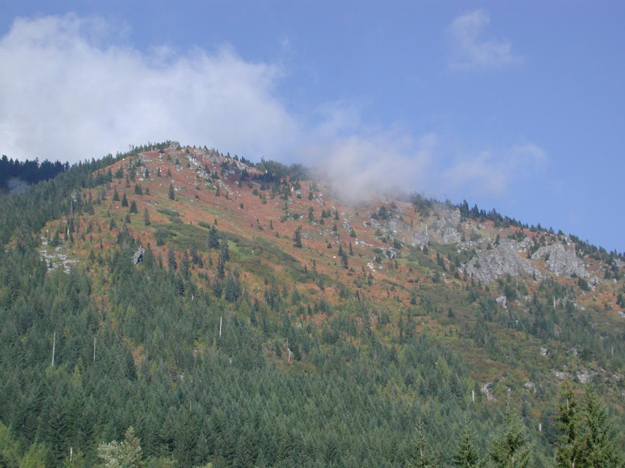 Some autumn colours, near Deception Falls, US 2