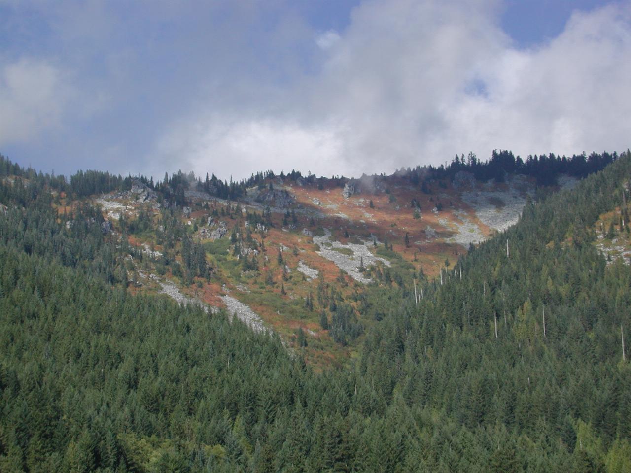 Some autumn colours, near Deception Falls, US 2