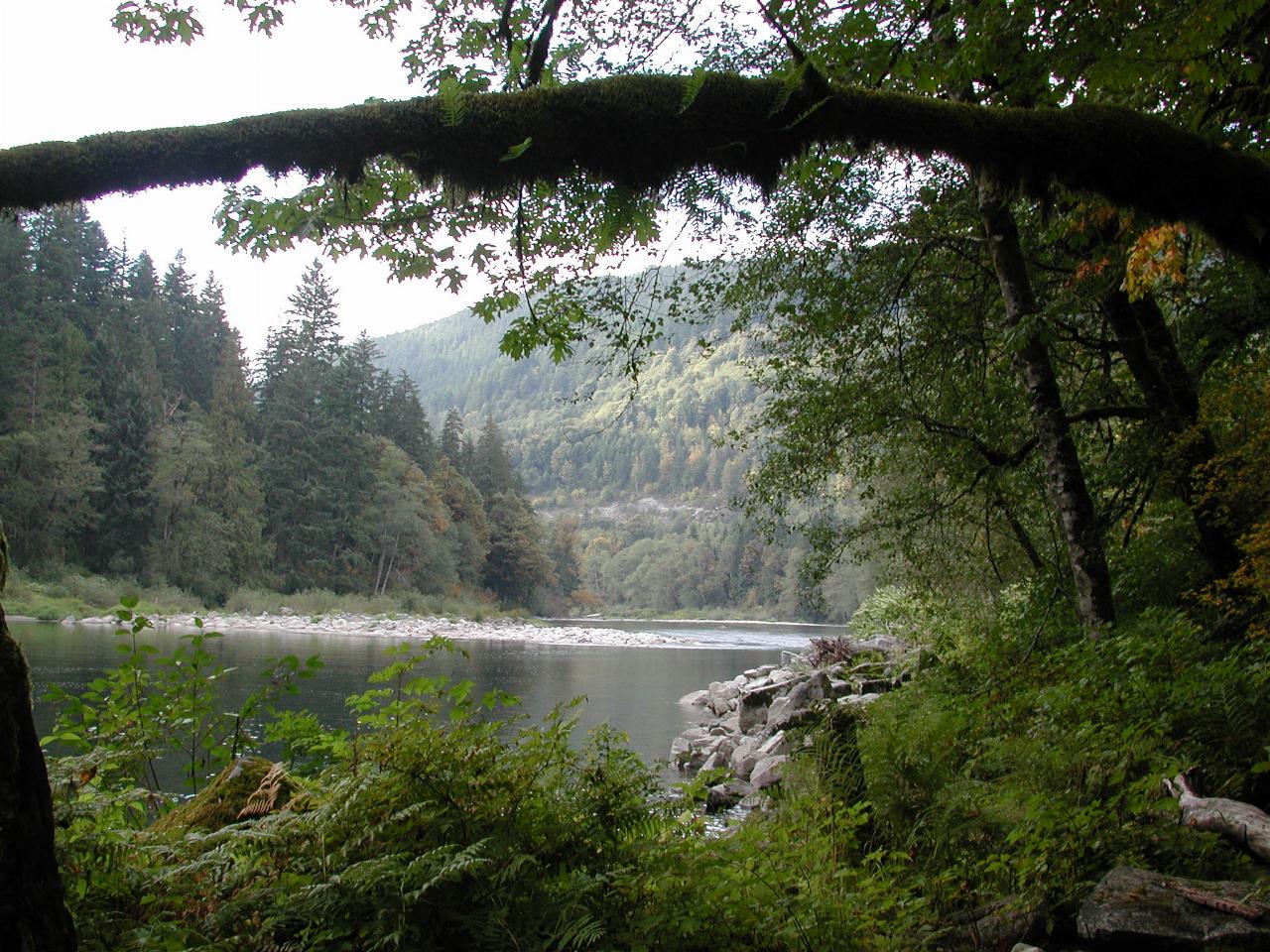 Eagle Falls, Skykomish River, a little west of Baring on US 2