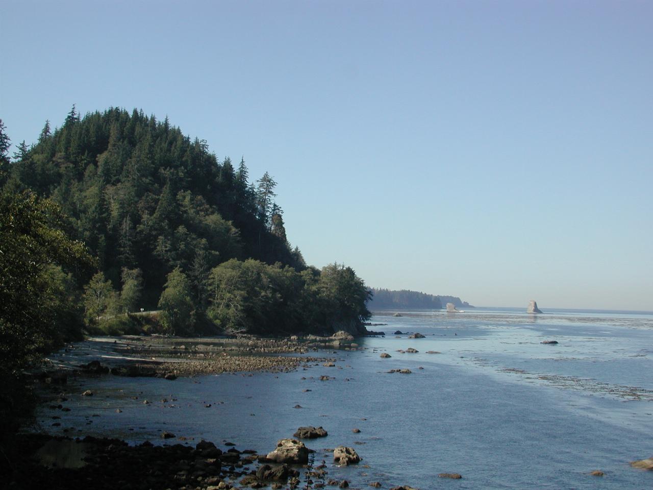 Along the road to Neah Bay, Olympic Peninsula