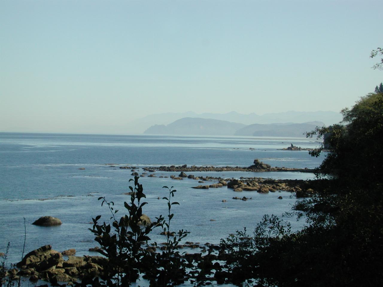 Along the road to Neah Bay, Olympic Peninsula