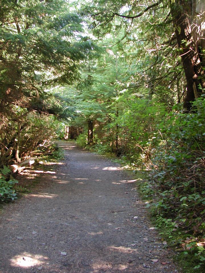 The trail to Cape Flattery, most NW part of continental USA