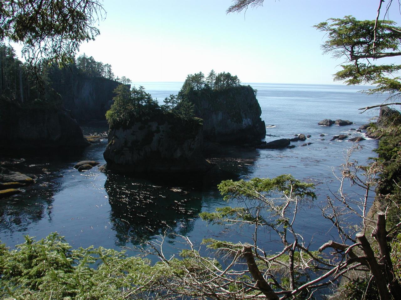 The trail to Cape Flattery, most NW part of continental USA