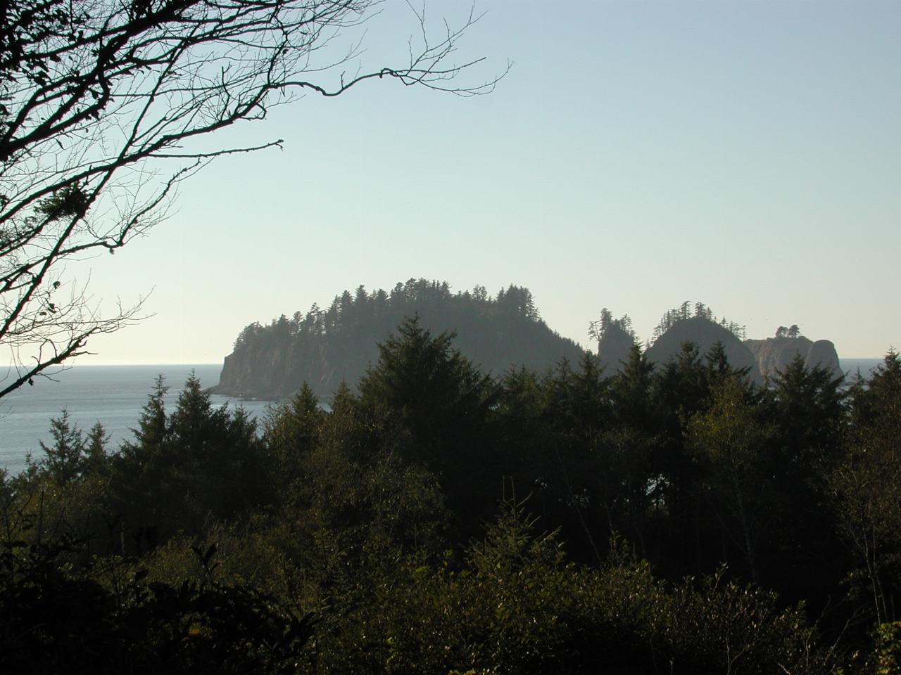 Islands right near the coast at La Push (Forks) WA