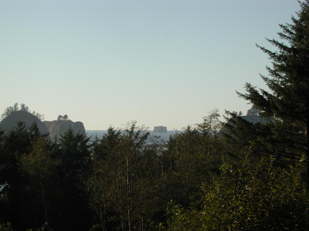 Islands right near the coast at La Push (Forks) WA